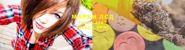 дживик Осташков