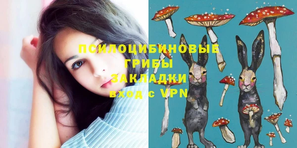 дживик Осташков